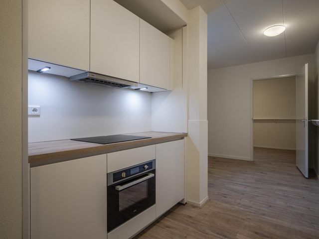 Rosendaalsestraat 467 3, Arnhem