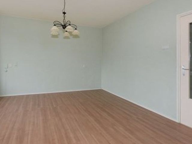 Wezelrade , Den Haag