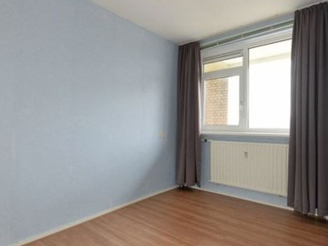 Wezelrade , Den Haag