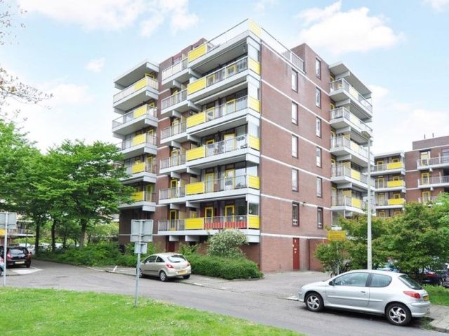 Melis Stokezijde , Den Haag