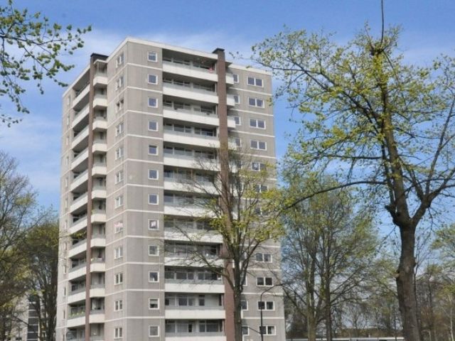 Ierlandstraat , Haarlem