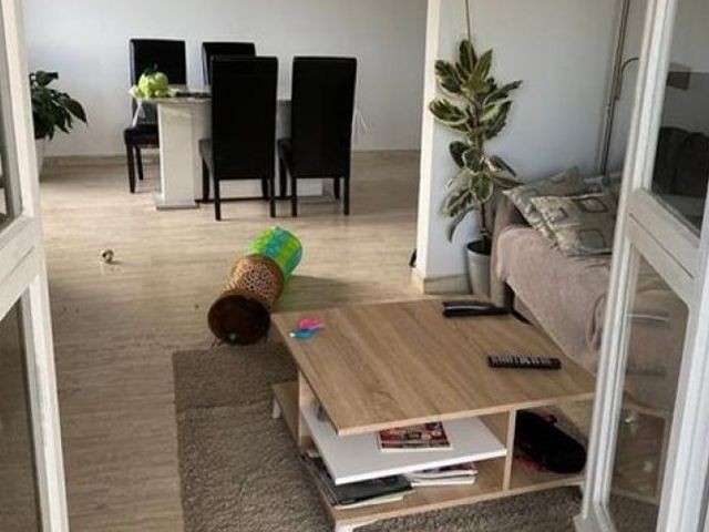 Sigmaplantsoen , Leiden