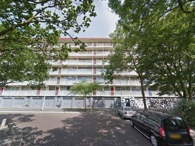 Jacques Urlusplantsoen , Leiden