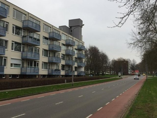 Florijnruwe , Maastricht