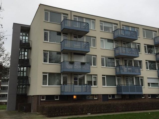 Florijnruwe , Maastricht