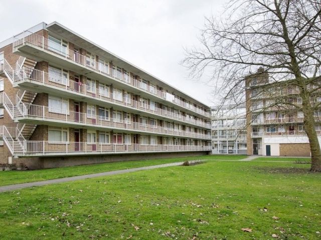 Heymansstraat , Rotterdam