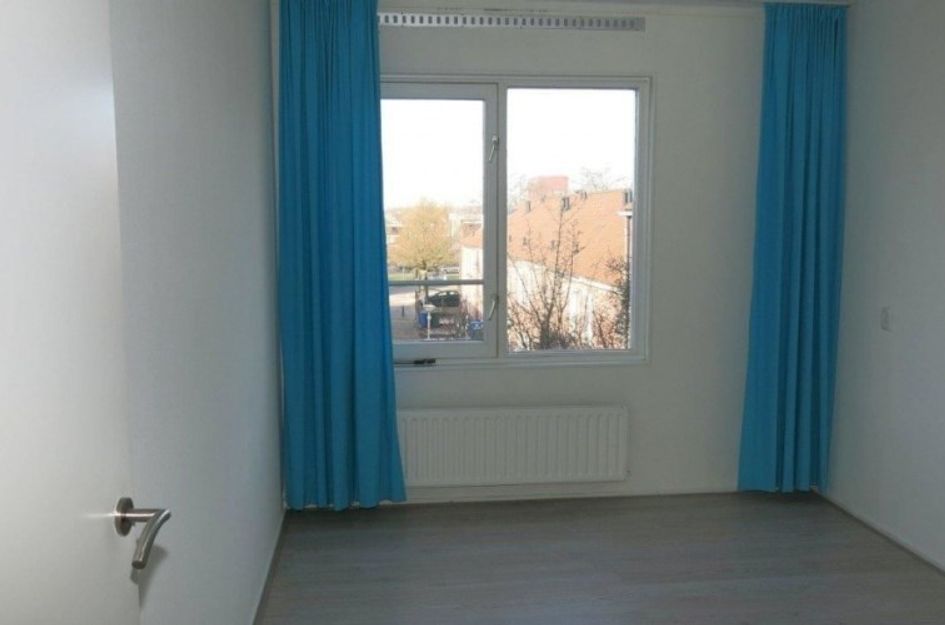 Schollevaartse Dreef