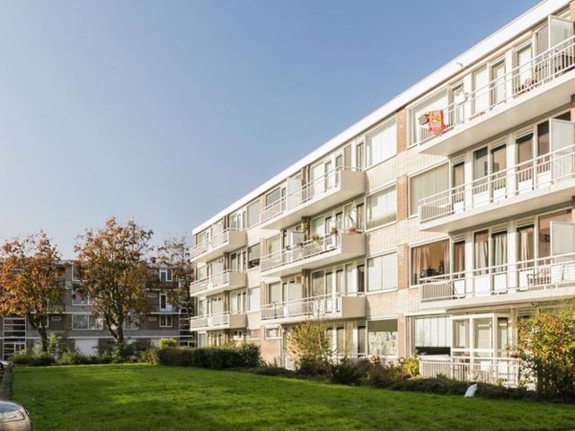 Stalpaertstraat , Rotterdam