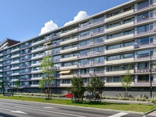 Hart van Brabantlaan , Tilburg