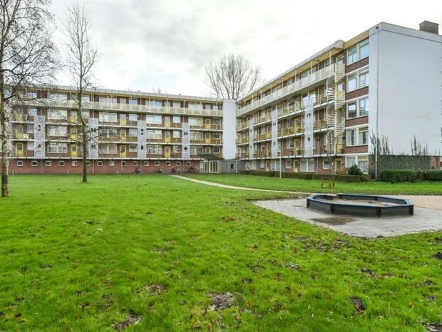 Leverkruidweg , Zaandam
