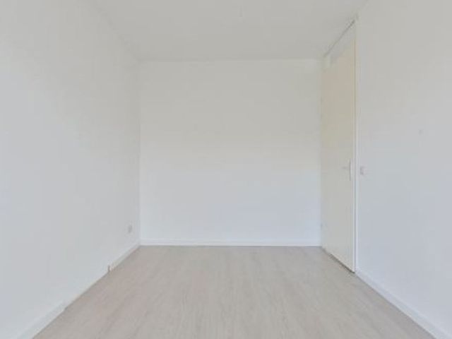 Koning Davidstraat , Zaandam