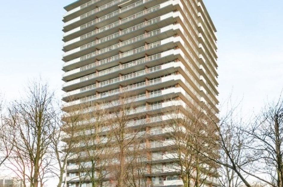 Dunantstraat