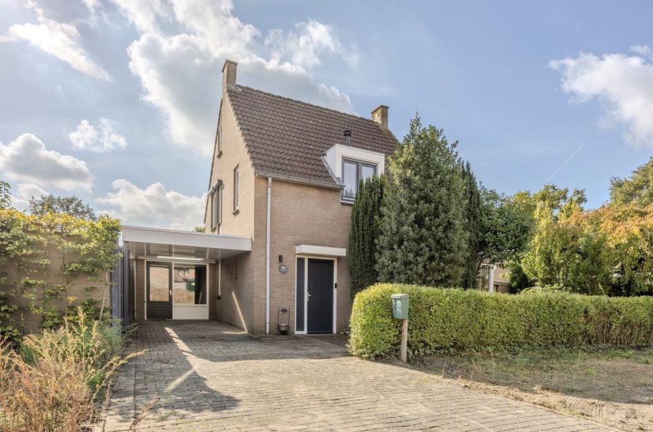 De Wilgen 38