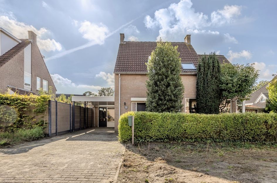 De Wilgen 38