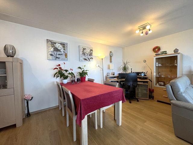 Stuvesande 384, Terneuzen