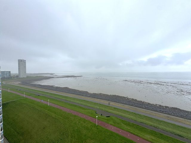 Stuvesande 384, Terneuzen