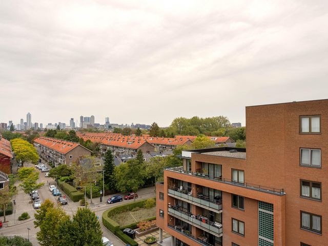 Zanglijsterstraat 173, Rotterdam