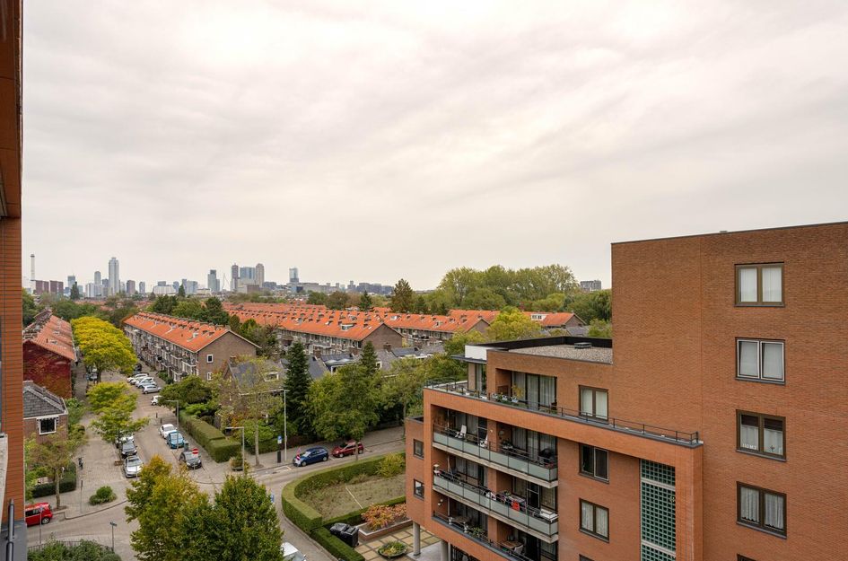 Zanglijsterstraat 173