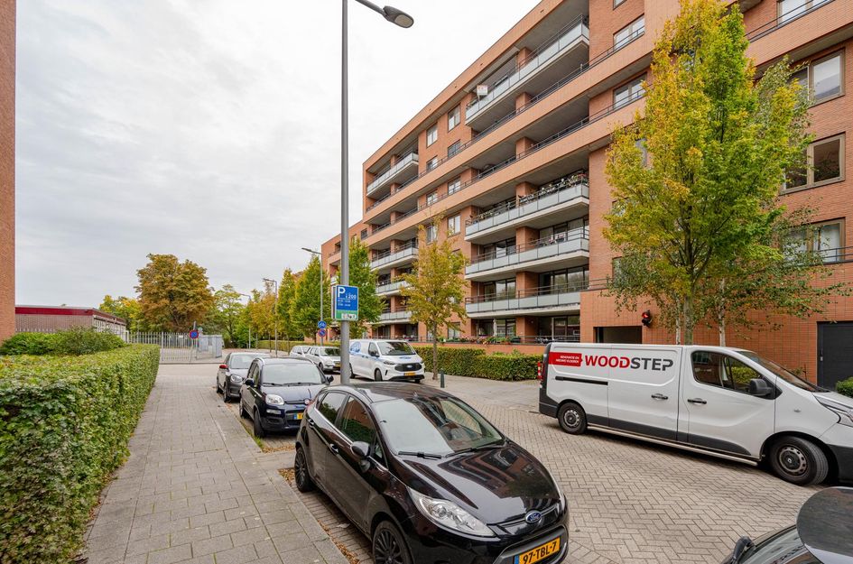 Zanglijsterstraat 173