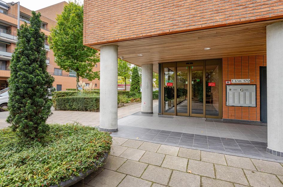 Zanglijsterstraat 173