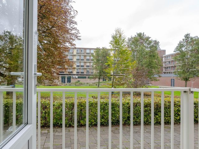 Heymansstraat 42, Rotterdam