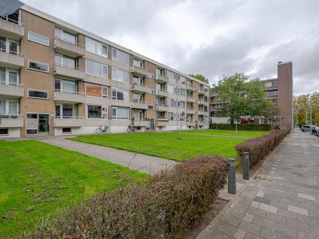 Heymansstraat 42, Rotterdam