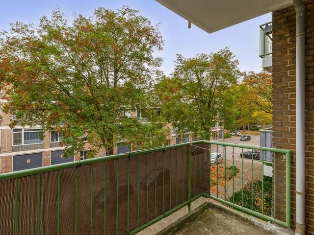 Ruigenhoek 79, Rotterdam