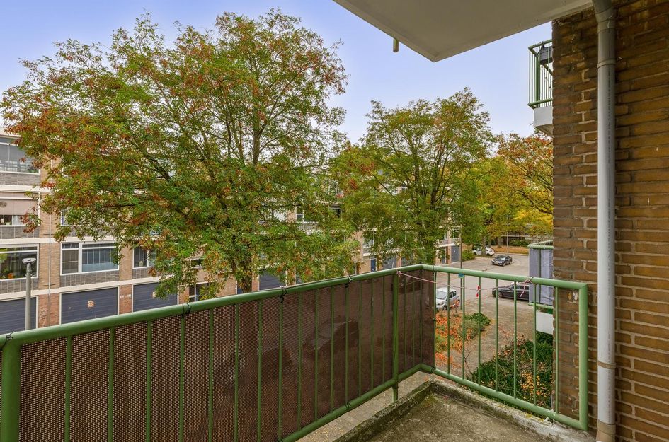 Ruigenhoek 79