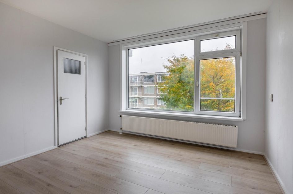 Ruigenhoek 79