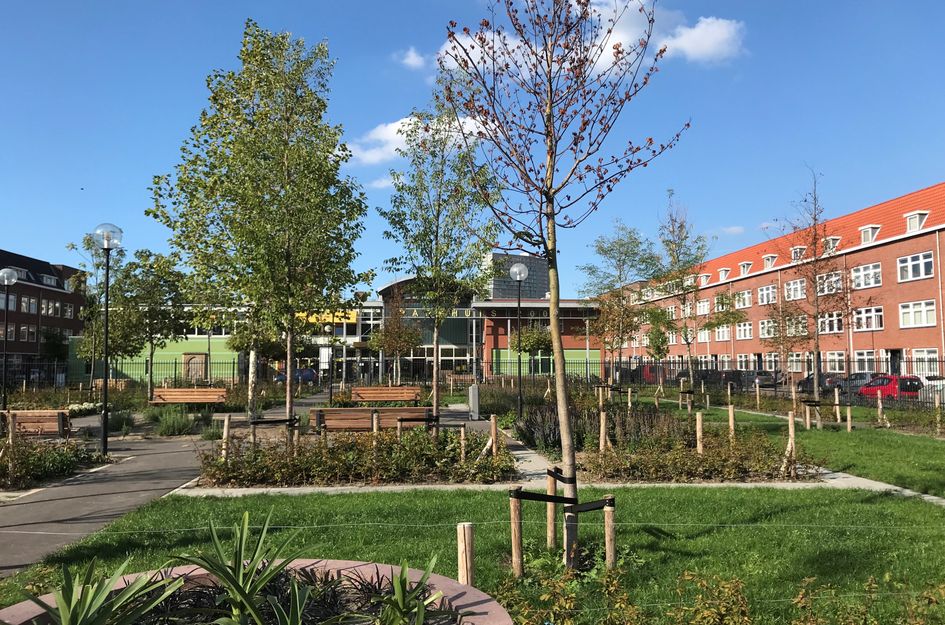 Bas Jungeriusstraat 118B02