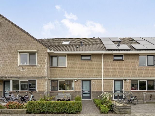 Luit 23, Kampen