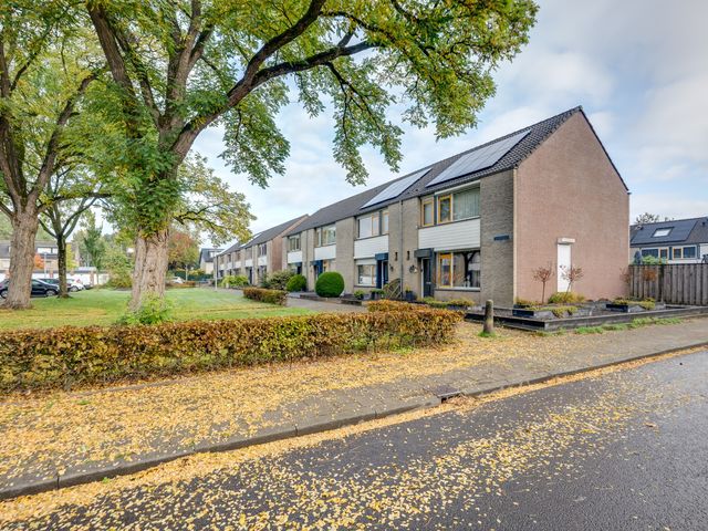 Van Bleiswijkhof 10, Rijen