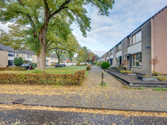 Van Bleiswijkhof 10, Rijen