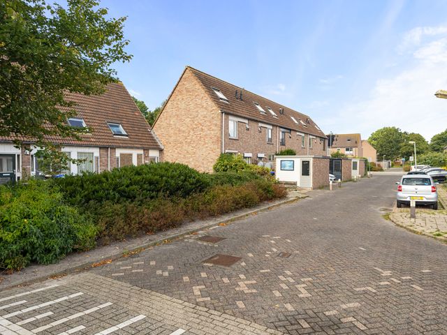 Doorzwin 5007, Julianadorp