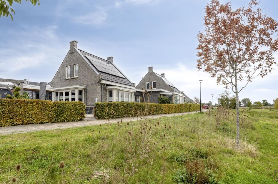 Korenbloem 14