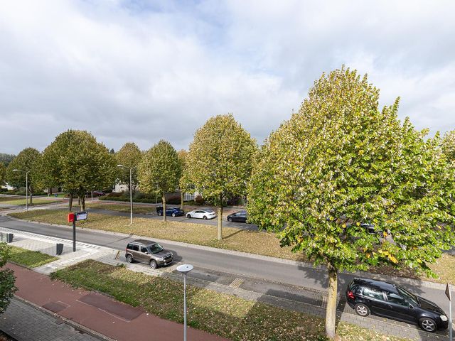 Westkil 52, Papendrecht