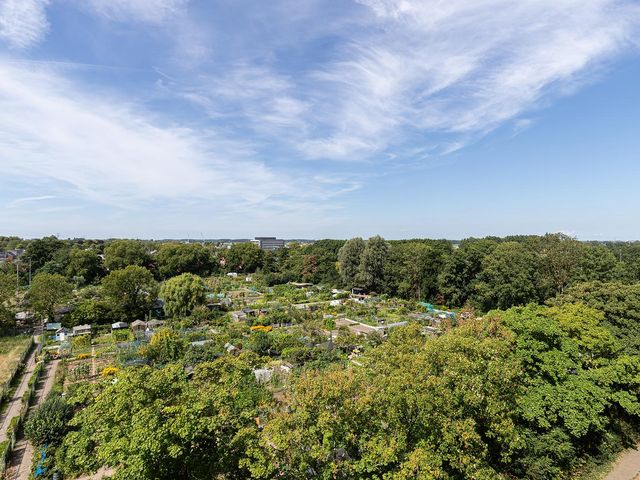 Sperwerstraat 54, Sliedrecht