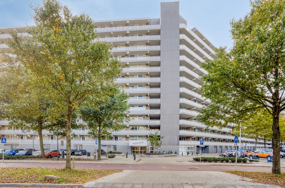 Chopinplein 228