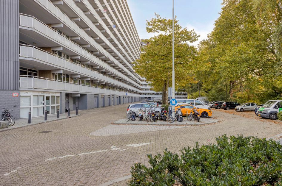 Chopinplein 228