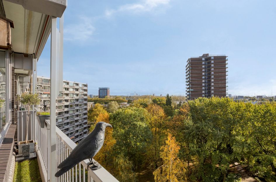 Chopinplein 228