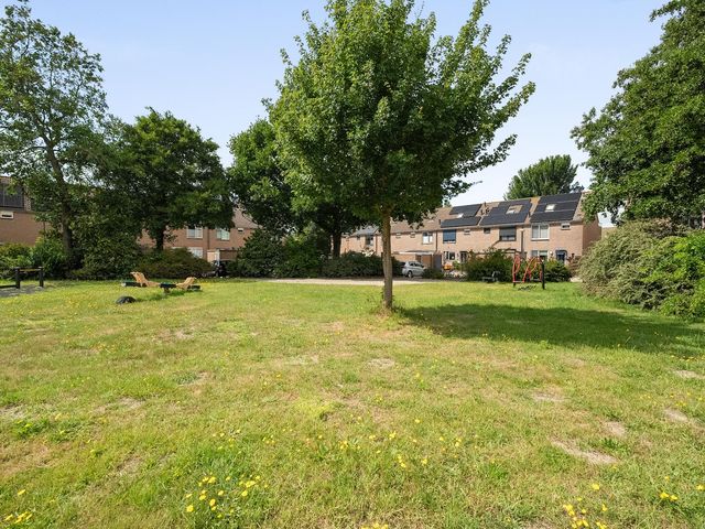 Doorzwin 4171, Julianadorp