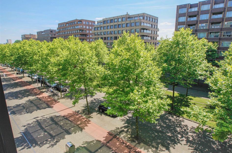 Laan Op Zuid 638