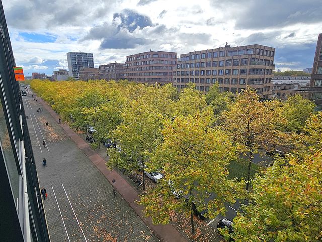 Laan Op Zuid 638, Rotterdam
