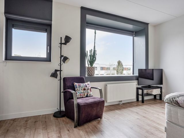 Muurhagedis 29, Goirle