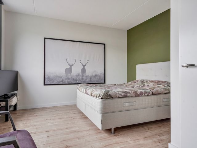Muurhagedis 29, Goirle