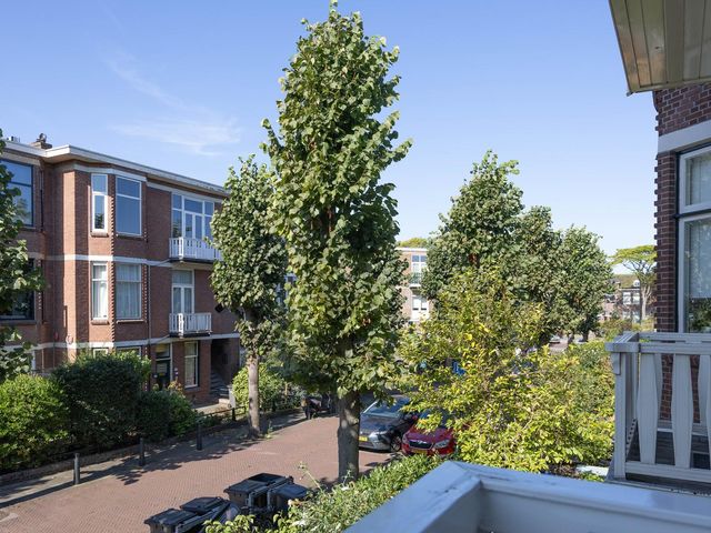 Ieplaan 49, Rijswijk