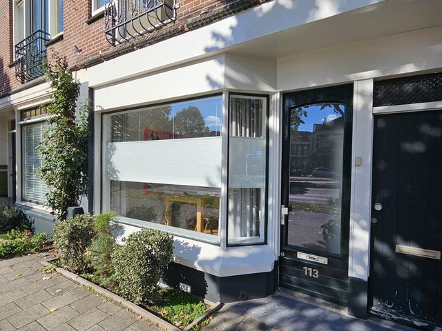 Vleutenseweg 113, Utrecht