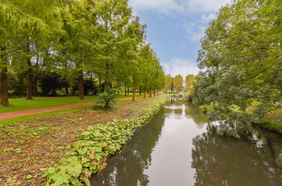 Burgemeester Fockstraat 190 1