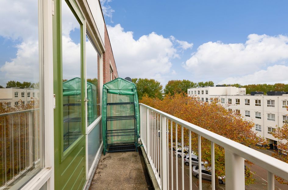 Daniël Defoelaan 62