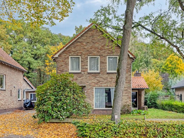 Het Groen 9, Knegsel